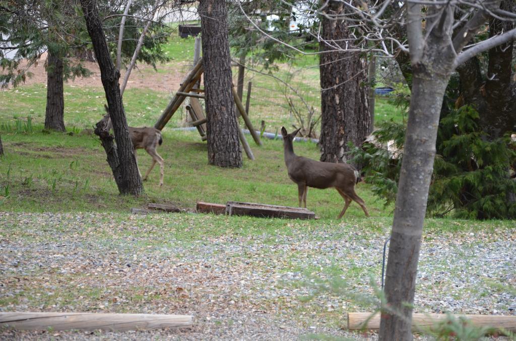 Yosemite Bass Lake House Bass Lake Annex Екстер'єр фото